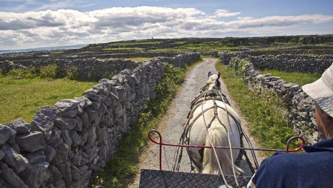 Apartment Boherbui On The Wild Atlantic Way *